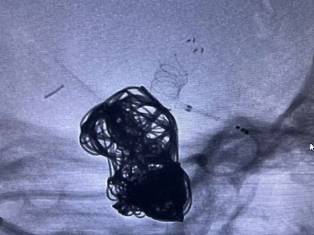 1761705451471680.jpg 640.webp (28).jpg