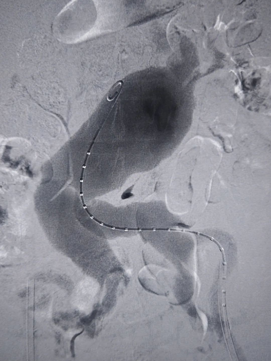 1761793074384699.jpg 640.webp (10).jpg