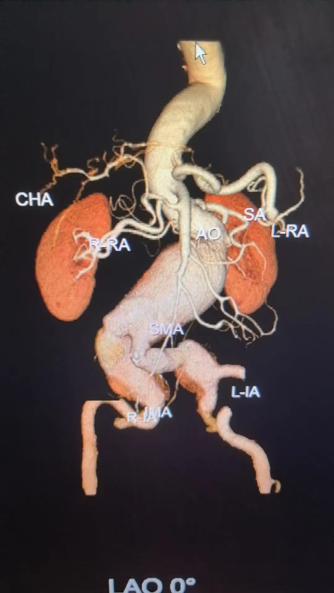 1761793106134905.jpg 640.webp (11).jpg