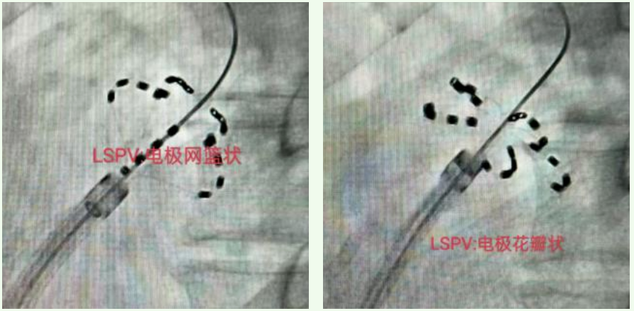 1764895503656986.png image.png