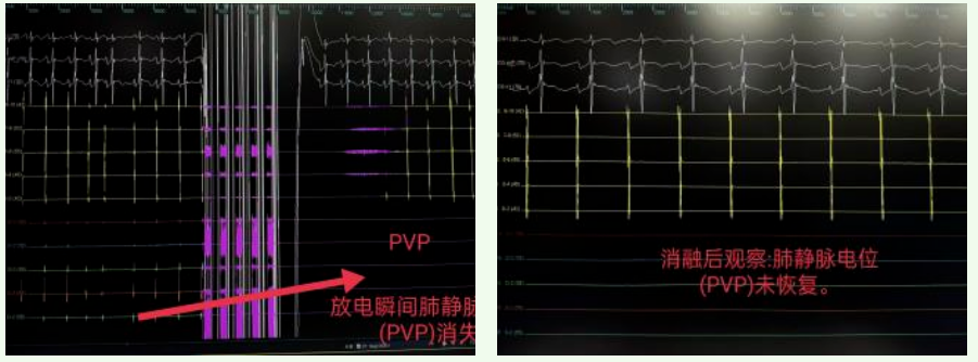 1764895544795292.png image.png