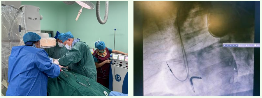 1764895576159727.png image.png