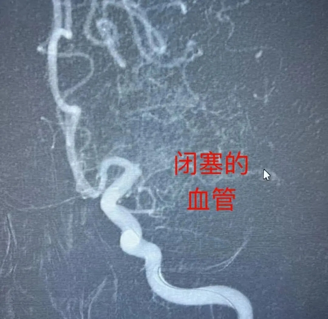 1764896764774066.jpg 640.webp (1).jpg