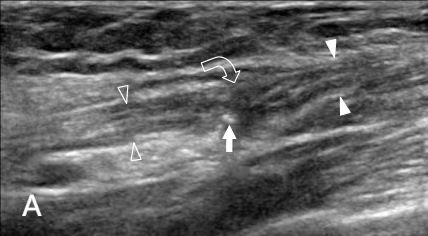 1766107925848916.png 图片9.png