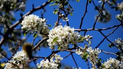 1773974167618421.jpg 微信图片_2026-03-20_103554_134.jpg